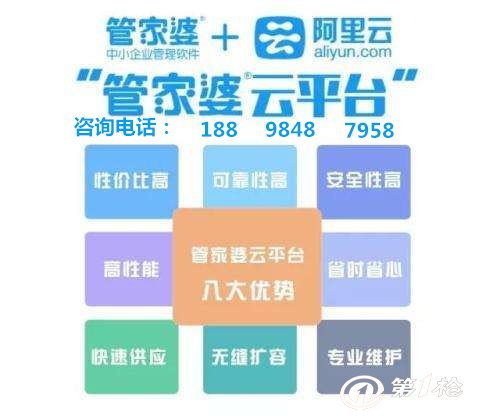 揭秘管家婆的資料一肖中特之謎，揭秘管家婆資料中的生肖特等獎(jiǎng)之謎