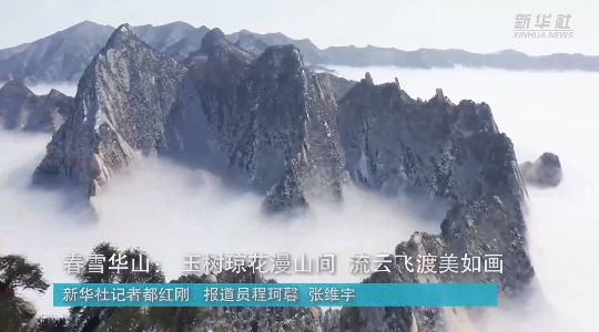 澳門最精準正最精準龍門，揭秘背后的秘密，澳門最精準正龍門背后的秘密揭秘