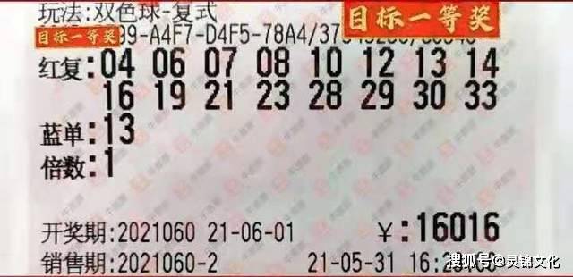 正版澳門天天開好彩大全58期雙色球，澳門正版天天開好彩大全第58期雙色球解析