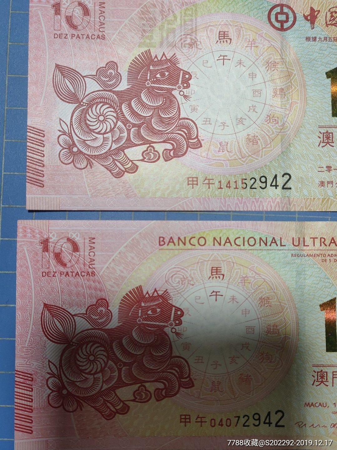 澳門馬的十二生肖是什么？帶你一探究竟，澳門馬的十二生肖揭秘，一探究竟