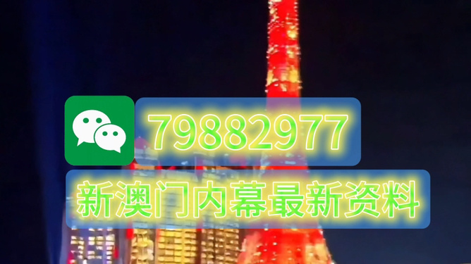 2025年今晚澳門特馬，澳門特馬預(yù)測與未來趨勢分析