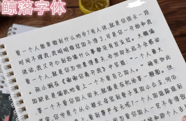 新澳門正牌掛牌之全篇，新澳門正牌掛牌詳解