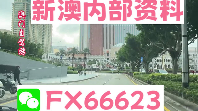 澳門六叔公精準資料揭秘，一網(wǎng)打盡各類信息，澳門六叔公資料揭秘，全面一網(wǎng)打盡各類信息