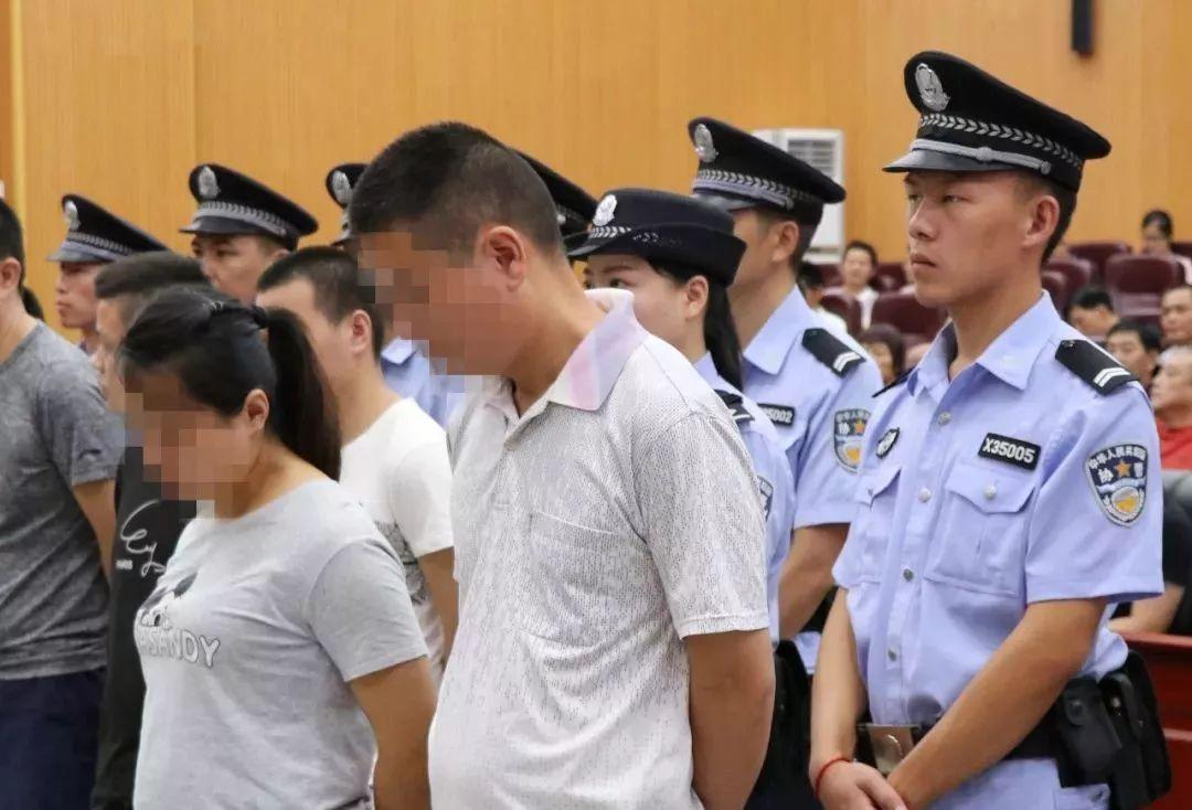 香港正版特馬資料，香港正版特馬資料揭秘