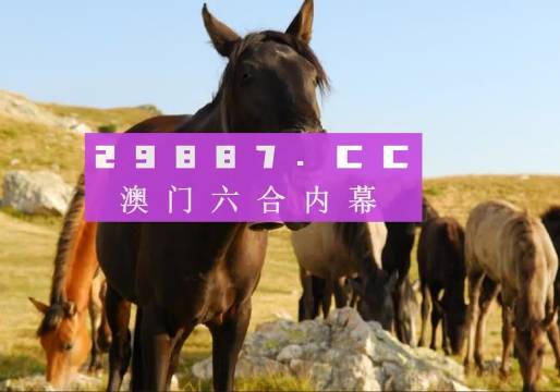 澳門管家婆一肖一碼，澳門管家婆精準(zhǔn)一肖一碼預(yù)測