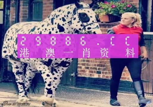 澳門王中王一肖一特一中大揭秘，澳門王中王，一肖一特一中神秘揭秘