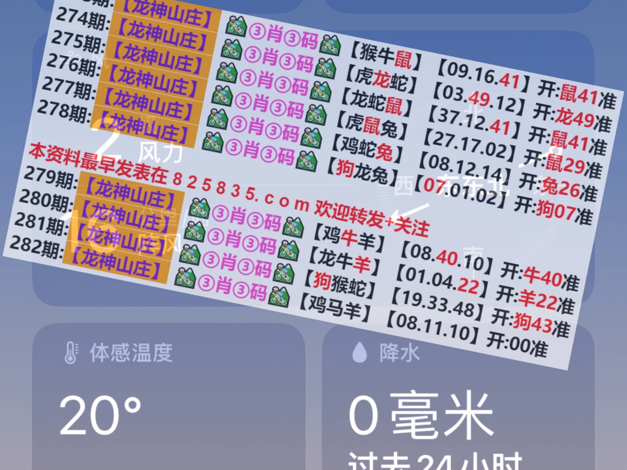 揭秘2024年澳門天天開好彩歷史記錄，揭秘澳門天天開好彩歷史記錄，2024年彩票背后的秘密