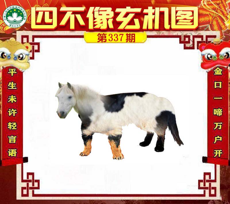 今晚必中一肖一碼四不像，揭秘彩票的神秘面紗，揭秘彩票神秘面紗，今晚必中一肖一碼四不像