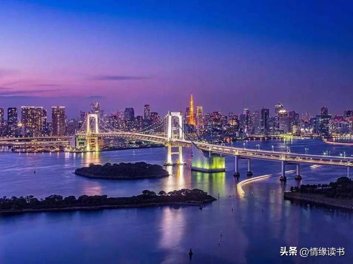 探秘2025年新澳門正版免費(fèi)芳草，探秘澳門正版免費(fèi)芳草，未來展望至2025年