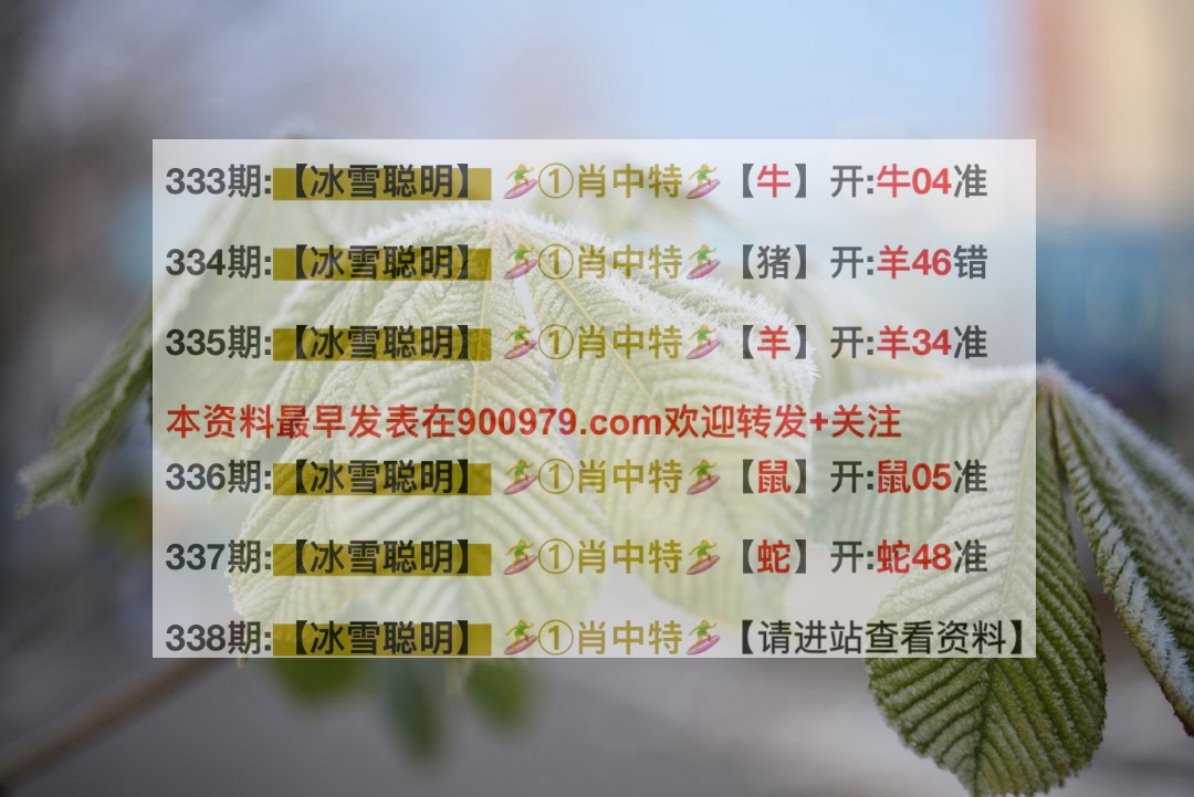 揭秘2025新澳精準(zhǔn)正版澳門(mén)碼，一網(wǎng)打盡彩票奧秘，揭秘未來(lái)彩票奧秘，2025新澳精準(zhǔn)正版澳門(mén)碼一網(wǎng)打盡
