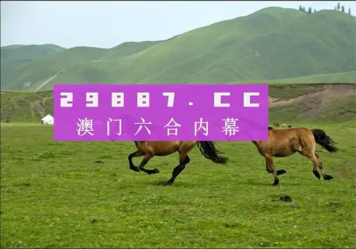 澳門天天彩期期精準(zhǔn)龍門客棧，揭秘彩票預(yù)測(cè)的魅力與真相，澳門天天彩期期精準(zhǔn)揭秘，龍門客棧彩票預(yù)測(cè)的魅力與真相探索