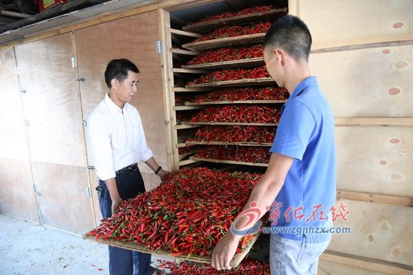 王中王王中王免費資料大全一，王中王免費資料大全一網打盡