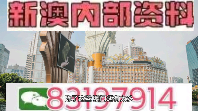 今晚澳門特馬開的什么號碼，澳門特馬今晚開獎(jiǎng)號碼揭曉